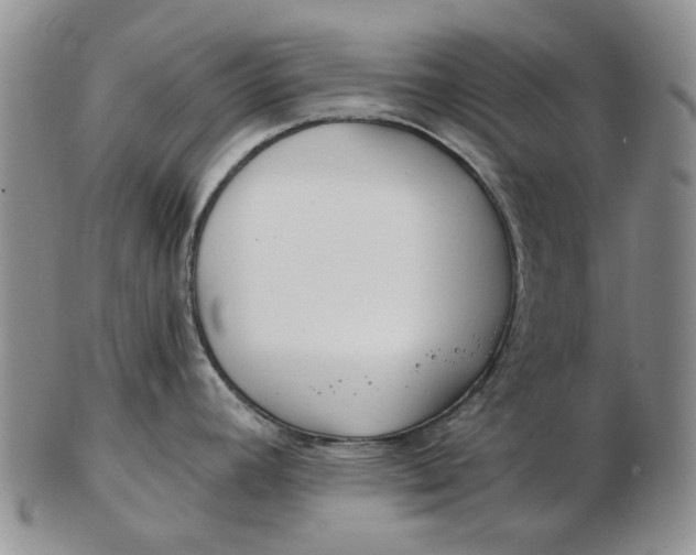 X0000102791392200809081040