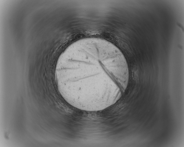 X0000102791393200809081039