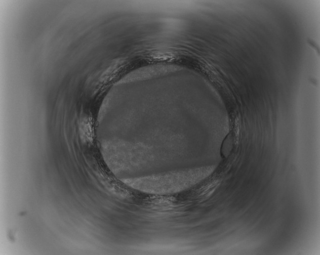 X0000102791394200809081039