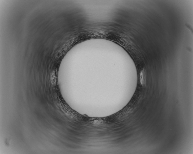 X0000102791395200809081039