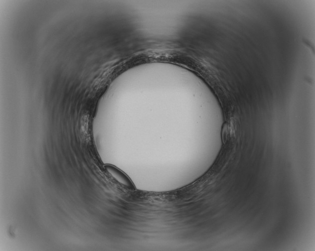 X0000102791396200809081039