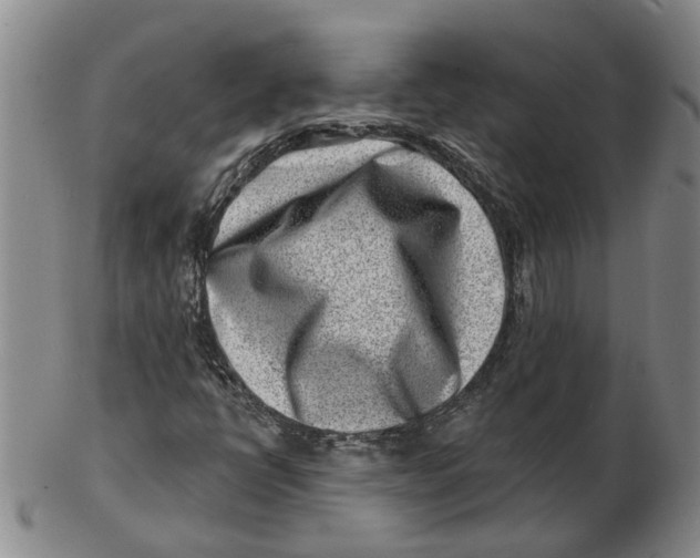 X0000102791398200809081039