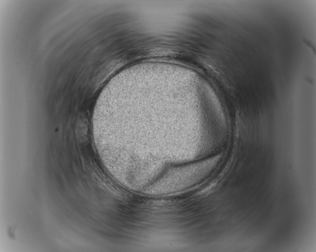 X0000102791401200809081039