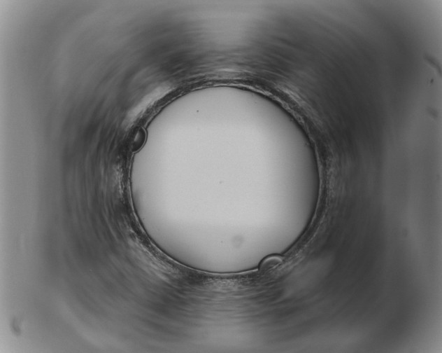 X0000102791402200809081039