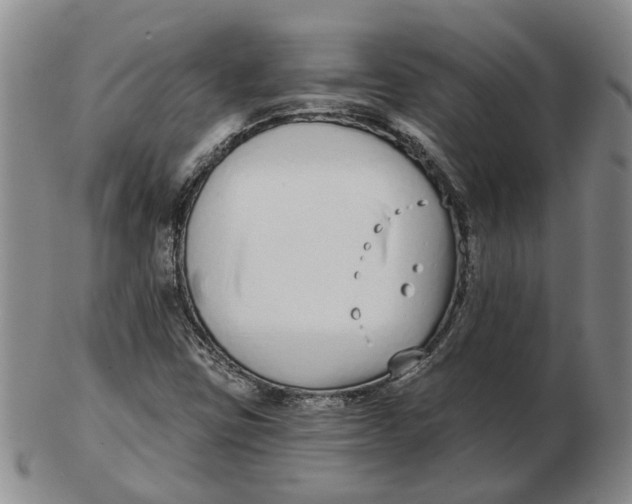 X0000102791403200809081039