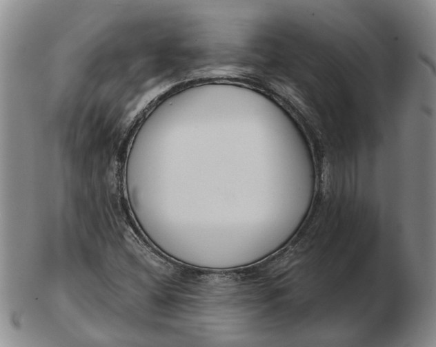 X0000102791404200809081039