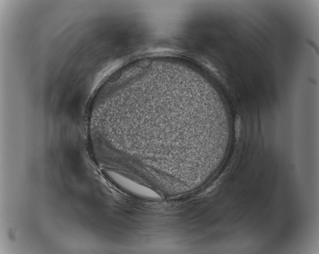 X0000102791405200809081039