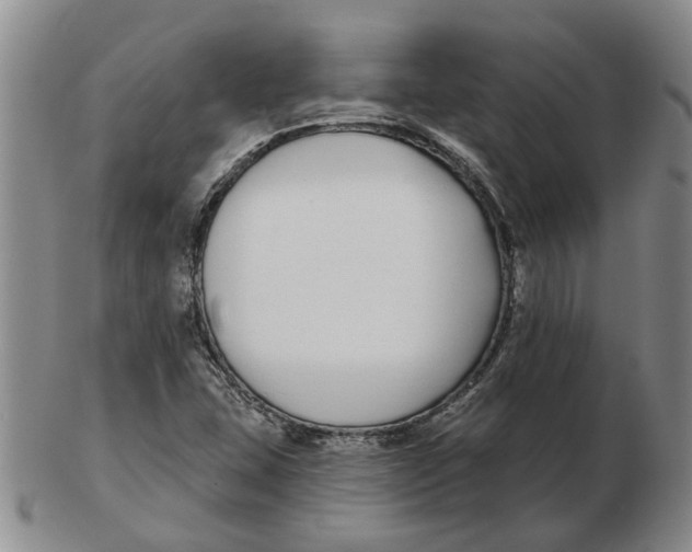 X0000102791407200809081039