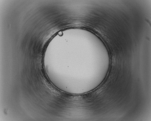 X0000102791410200809081039