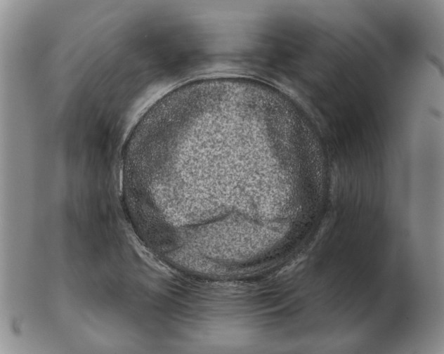 X0000102791413200809081039