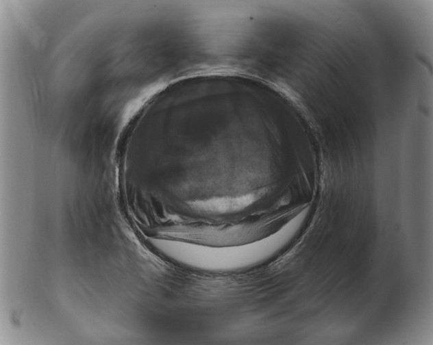 X0000102791414200809081039