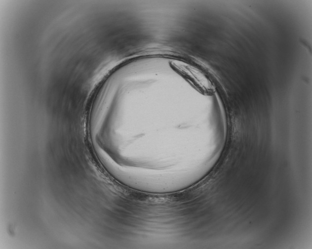 X0000102791415200809081039