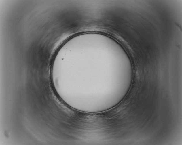 X0000102791416200809081039