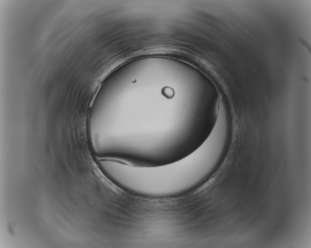 X0000102791417200809081039