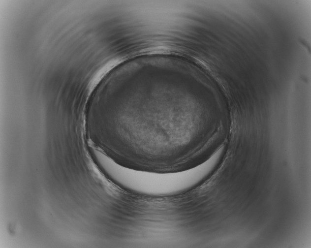 X0000102791418200809081039