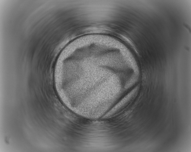 X0000102791419200809081039