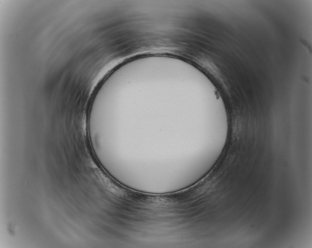 X0000102791420200809081039