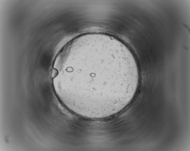 X0000102791421200809081039