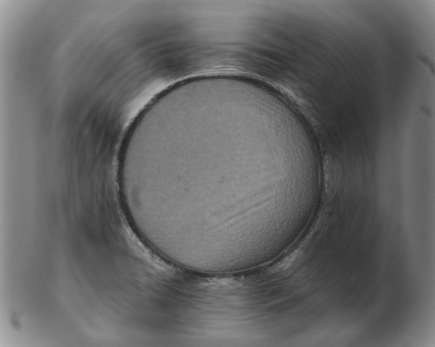 X0000102791422200809081040