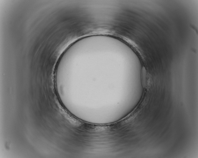 X0000102791423200809081040