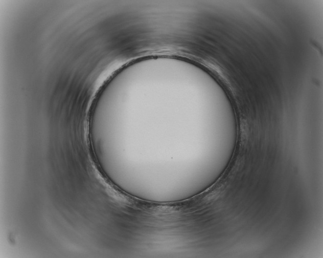 X0000102791424200809081040