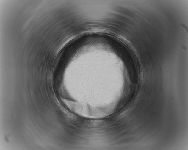 X0000102791425200809081040