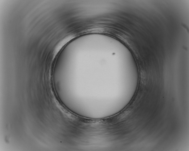 X0000102791426200809081040