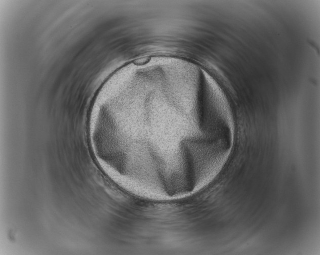 X0000102791427200809081040