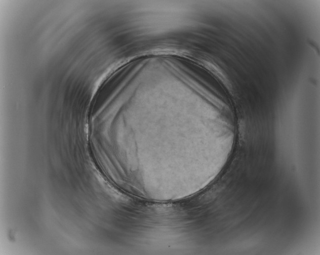 X0000102791428200809081040