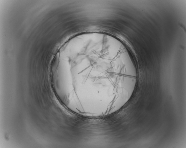 X0000102791429200809081040