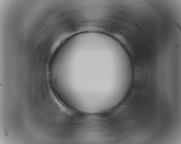 X0000102791430200809081040