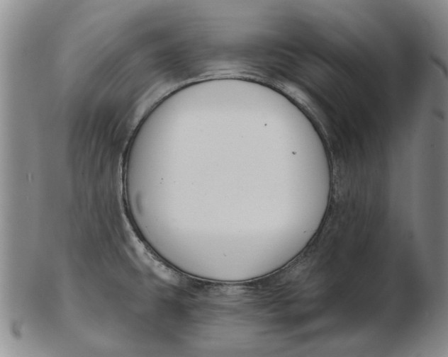 X0000102791431200809081040