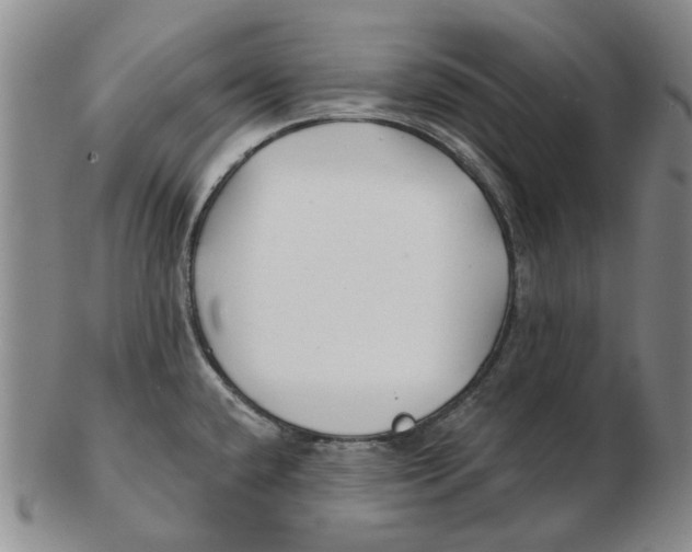 X0000102791432200809081040