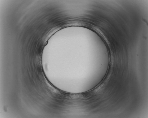 X0000102791433200809081040