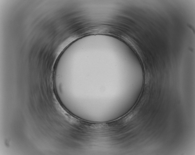 X0000102791434200809081040