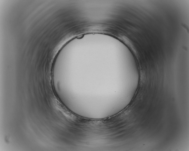 X0000102791435200809081040