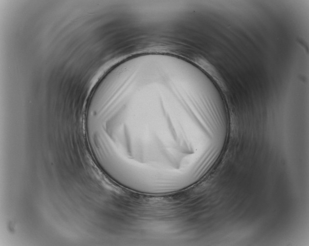 X0000102791436200809081040