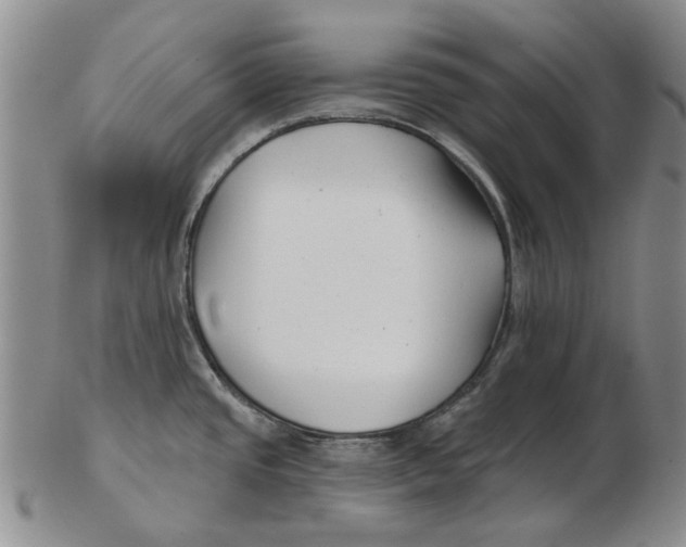 X0000102791437200809081040