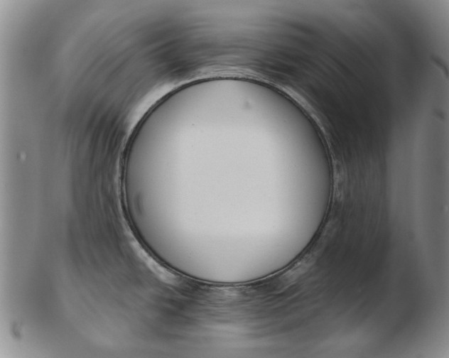 X0000102791438200809081040