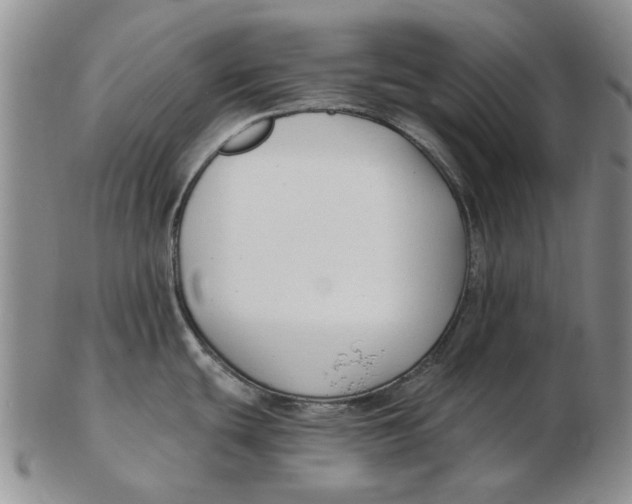 X0000102791439200809081040