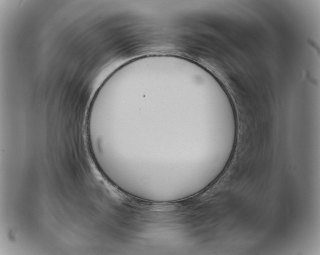 X0000102791440200809081040