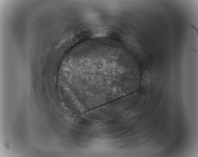 X0000102791441200809081039