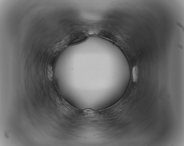 X0000102791443200809081039