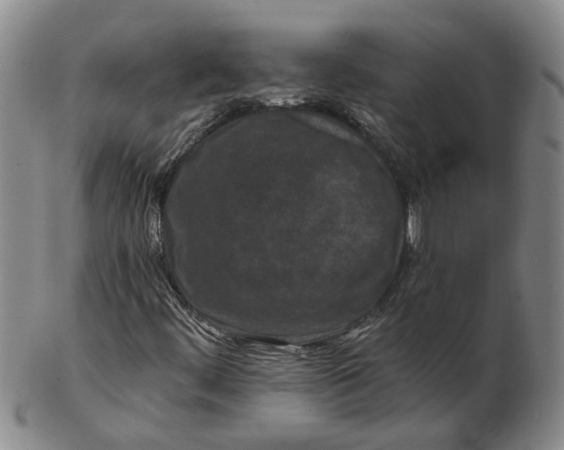 X0000102791444200809081039