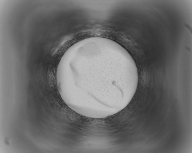 X0000102791446200809081039