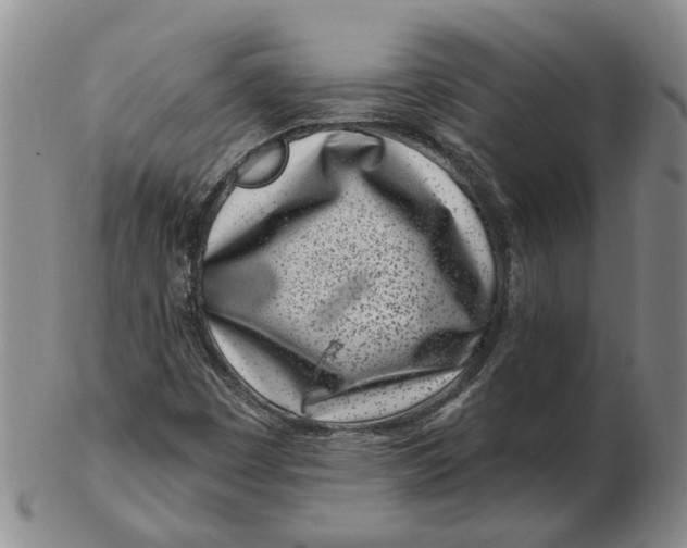 X0000102791449200809081039