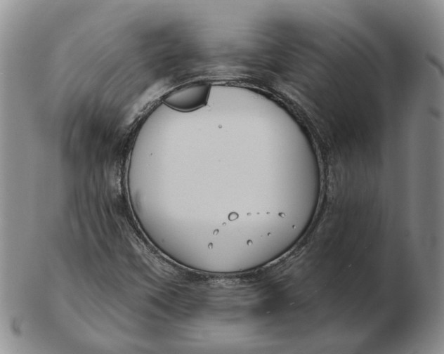 X0000102791451200809081039