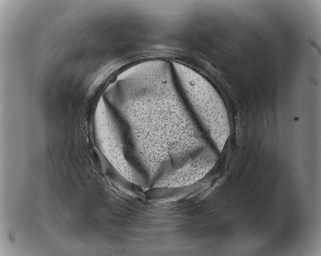 X0000102791453200809081039