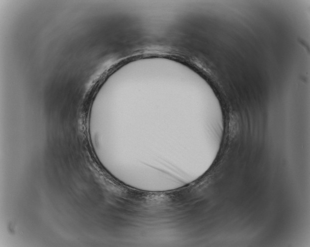 X0000102791454200809081039