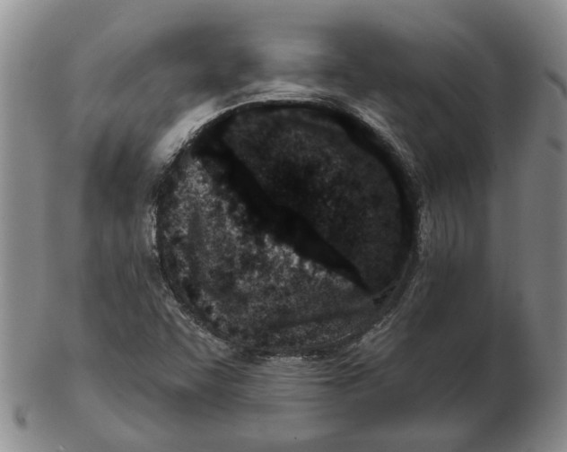 X0000102791455200809081039